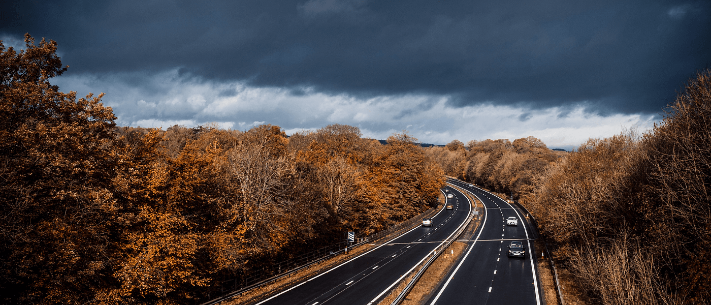 Autumn trees with winding  road cutting through