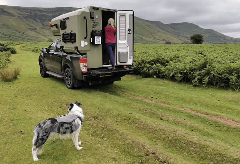 Rear view mounted on a pick up with dog in the foreground